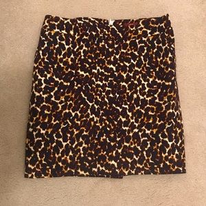 Skirt Size 6